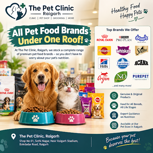 🐾 Raigarh Pet Parents, Never Worry About Your Pet’s Food Again! 🐾 post image