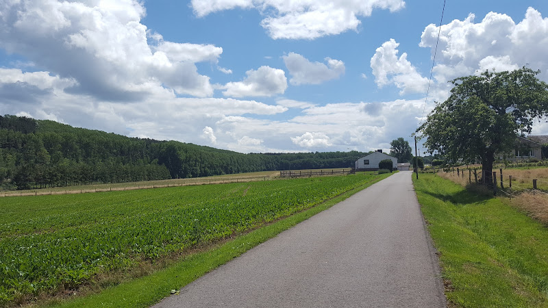 Pferdehof Beythal photo