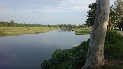 Photos of Bottoli Bus stop
