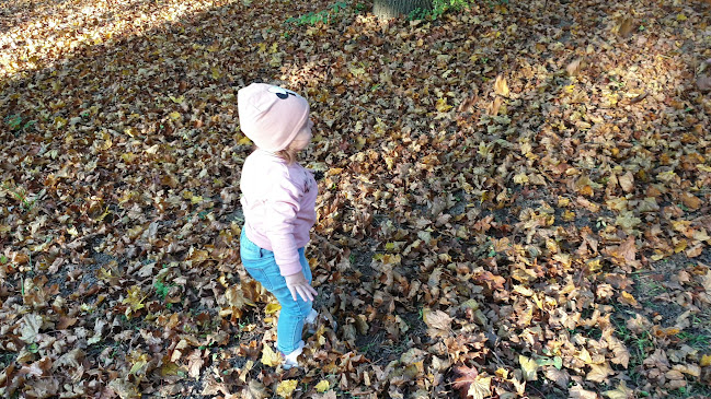 Telefonszám: Bábolnai Arborétum és Állatpark