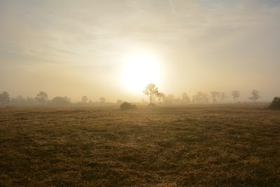 Photos of Ridge Landing Airpark