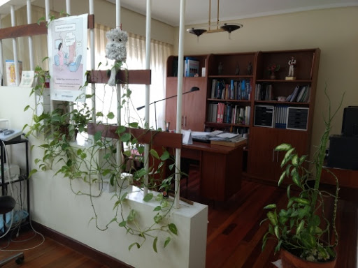 Dra. Arantza Etxebarria Landazabal, Dentista - Thumbnail