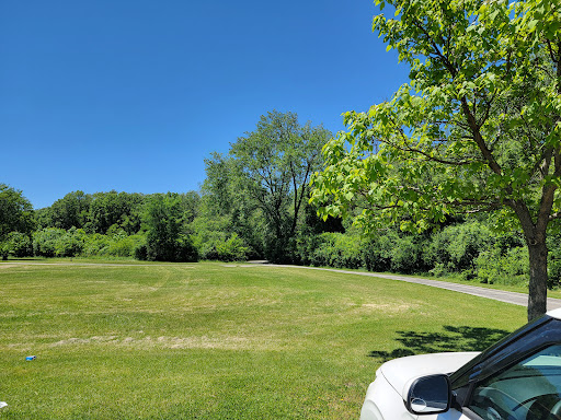 Midlothian Meadows - Thumbnail