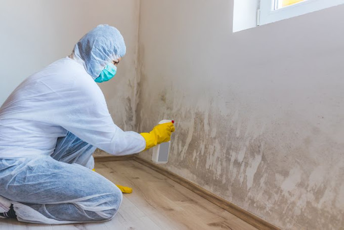 Mould Removal Newcastle Experts