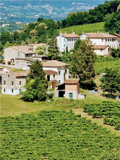 PROFESSIONAL TEAM AGENZIA IMMOBILIARE - Thumbnail
