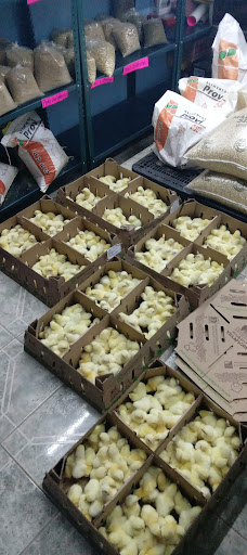 Alimentos balanceados “PETIRROJO” - Thumbnail