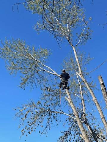 Stanton Contracting LLC