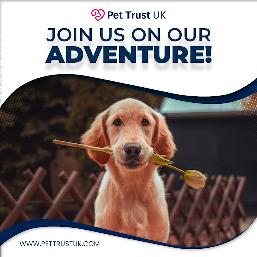 Pet Trust Uk Gallery - United Kingdom