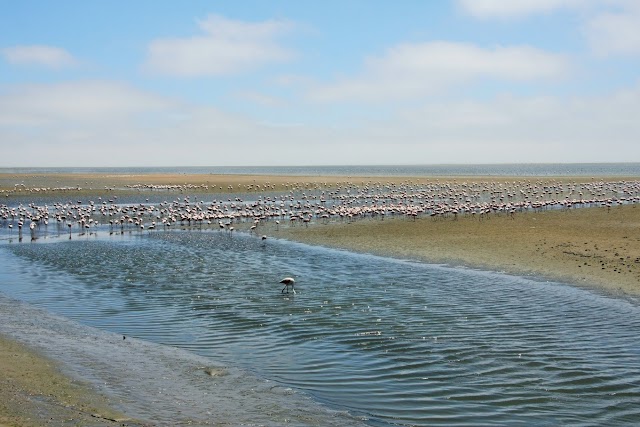 Walvis Bay