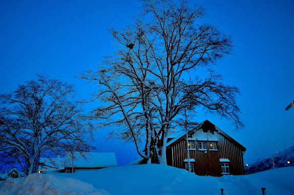 Låvhaugen Bygdemuseum, Author: Mariaifl Photography