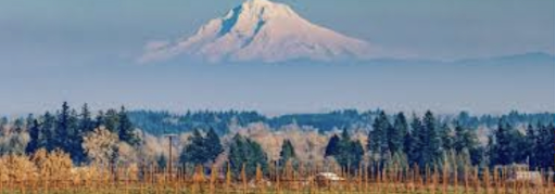 Willamette Valley Plumbing - Thumbnail