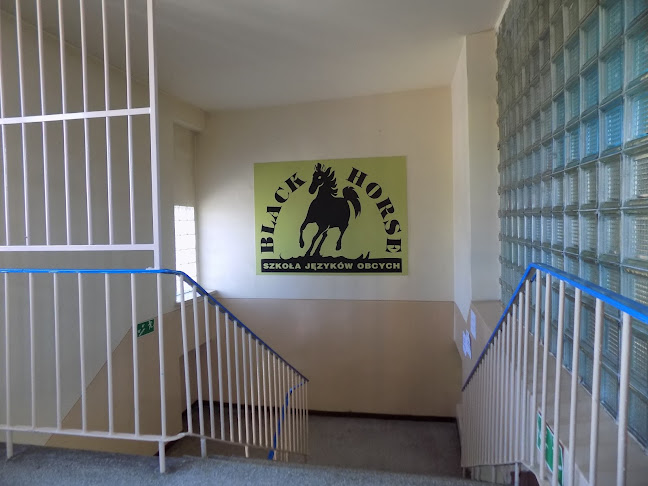 Komentarze i opinie o Black Horse. Szkoła Języków Obcych