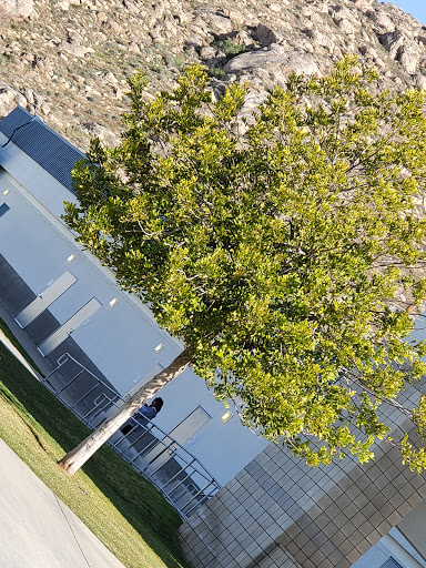Lakeside Middle School Gallery - United States