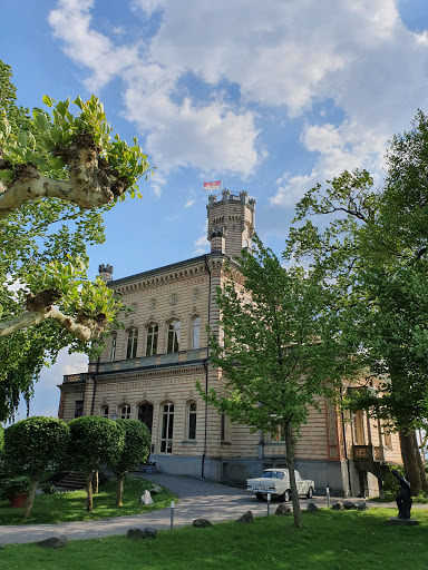 Schloss Montfort - Thumbnail