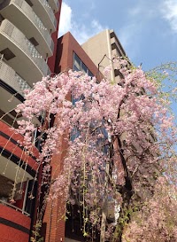 絵画教室 アトリエ・サガン