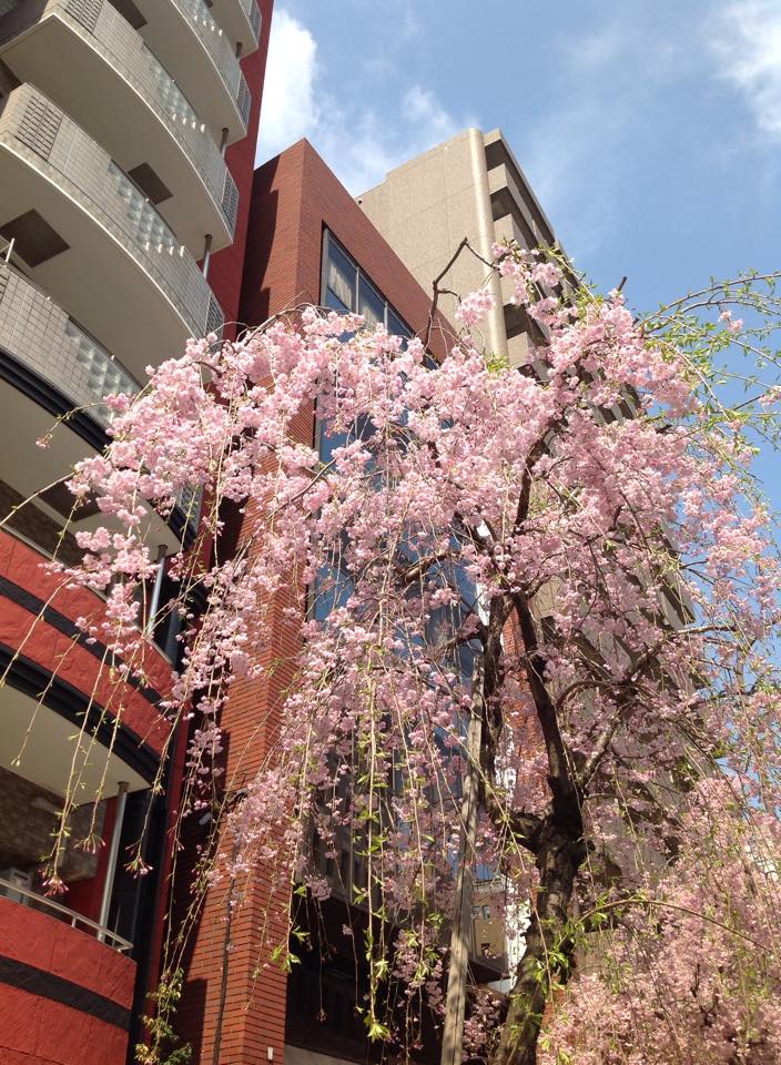 絵画教室 アトリエ・サガン