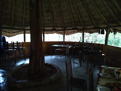 Photos of Ndzou Camp