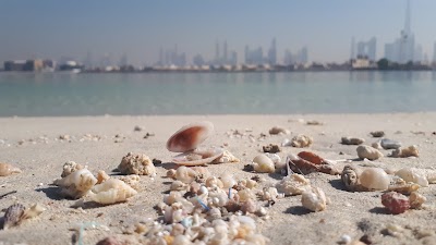 Photos of Daria Island