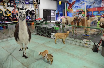 Photos of 7 Mile Fair