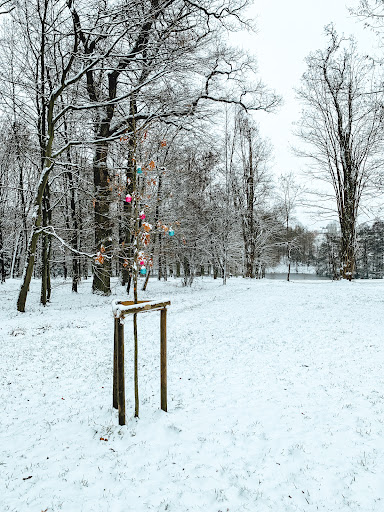 Pauls Baum - Visual