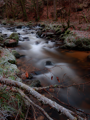 Le Gour du Drac - Thumbnail