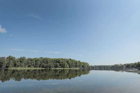 Island Lake Conservation Area by null