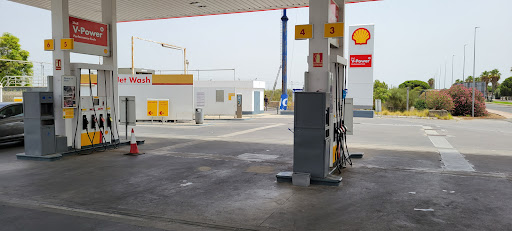 Shell Caballo Blanco - Visual