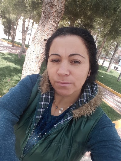 Photos of Elwan
