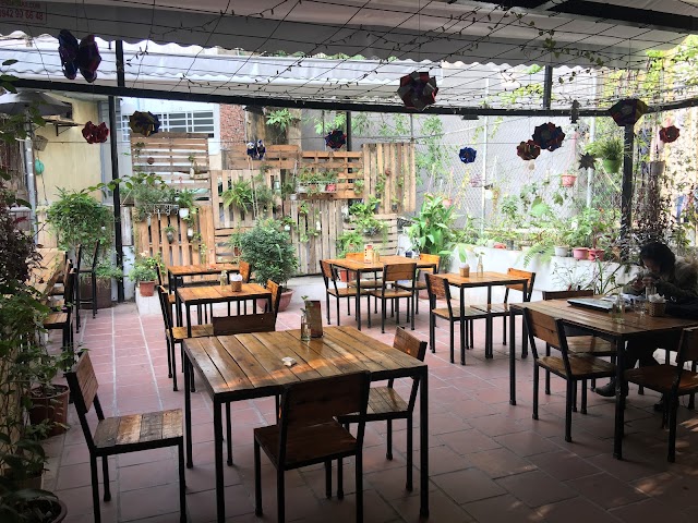 Tổ Chim Xanh - Bluebirds' Nest