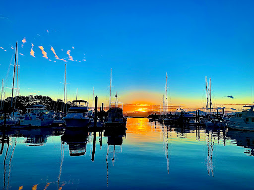 Safe Harbor South Harbour Village Gallery - United States