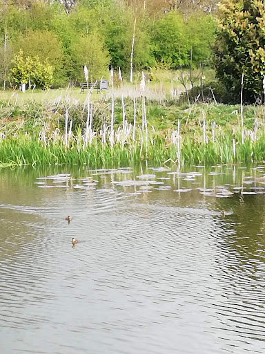 The Park Fishery - Thumbnail