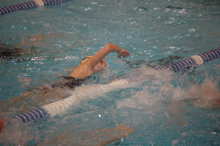 Anderson Premier Aquatic