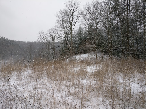 East Ithaca Nature Preserve - Thumbnail