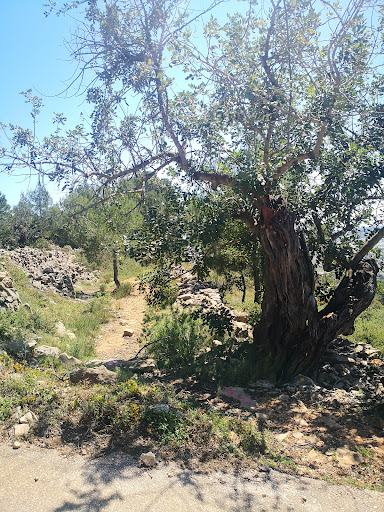 Cueva de la Garganta - Thumbnail