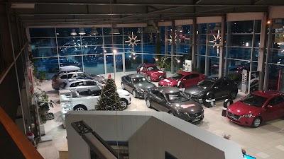 car-dealer
