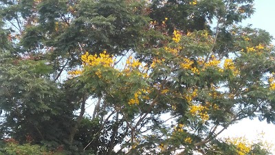 Photos of Taman Nasional Kutai (TNK) Sangkimah