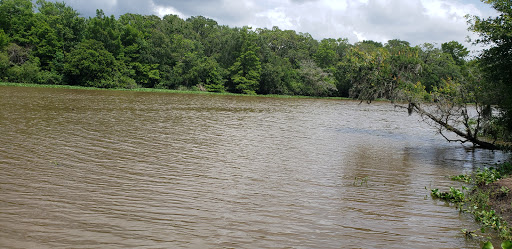 Wilderness Park - Visual