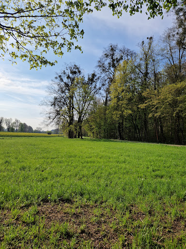Köstritzer Schloss Park - Thumbnail