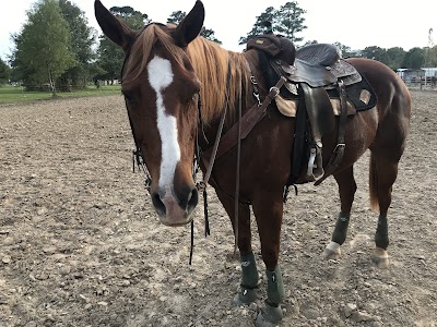 Circle R stables