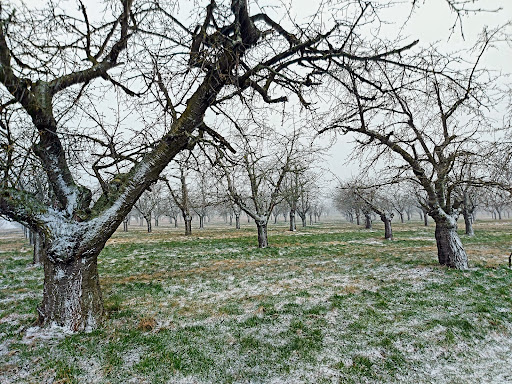 Hornsberg - Visual