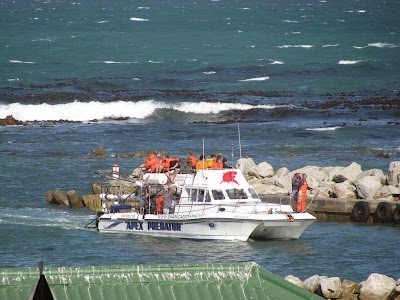 Photos of Sharky Holiday Home