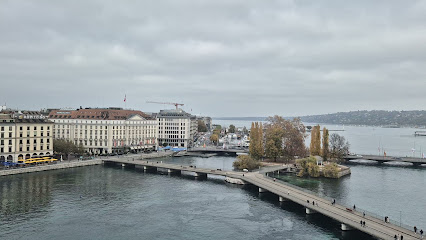 Rue du Rhône 14, 1204 Genève