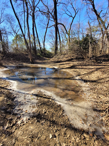 Spring Trail Park - Visual