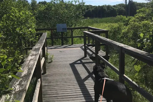 Hillside Environmental Education Park - Thumbnail