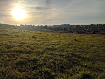 Sports Park View Point