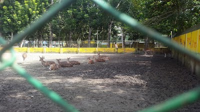 Photos of Bonobilash Public Zoo