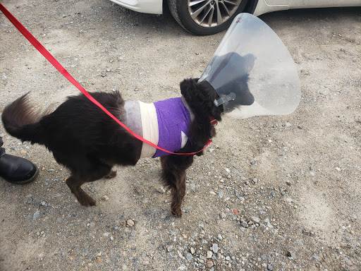 Cypress Creek Veterinary Hospital