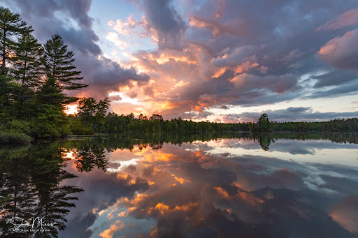 Natural Spaces Photography - Thumbnail