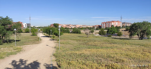 Bosque DHL - Visual