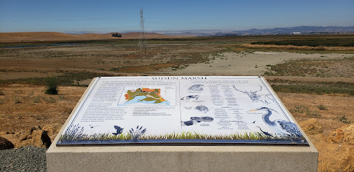 Suisun Marsh Outlook - Thumbnail
